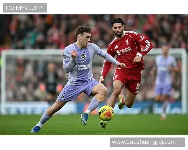 探索索博斯洛伊的历史与文化魅力揭示其在现代社会的独特价值